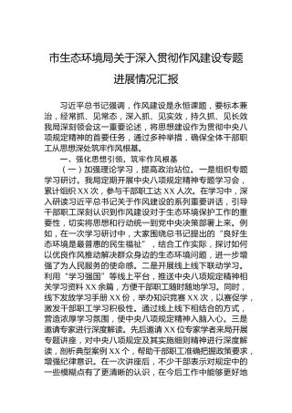 市生态环境局关于深入贯彻作风建设专题进展情况汇报