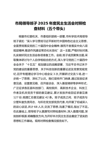 市局领导班子2025年度民主生活会对照检查材料（五个带头）