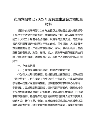 市局党组书记2025年度民主生活会对照检查材料（五个带头）