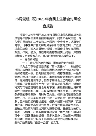 市局党组书记2025年度民主生活会对照检查报告