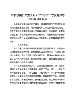 市发改委机关党支部党员思想形势分析报告