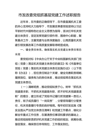 市发改委党组抓党建工作述职报告