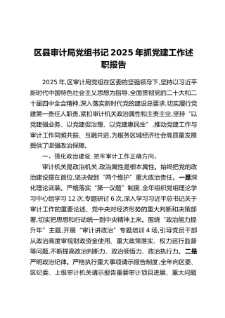 区县审计局党组书记2025年抓党建工作述职报告（2）