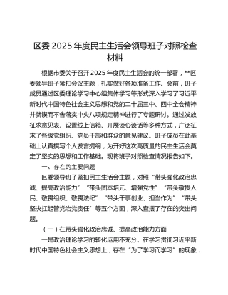 区委2025年度民主生活会领导班子对照检查材料（五个带头）