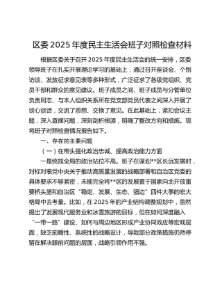 区委2025年度民主生活会班子对照检查材料（五个带头+典型案例剖析）