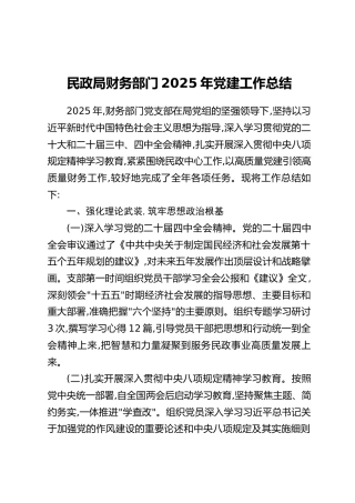 民政局财务部门2025年党建工作总结