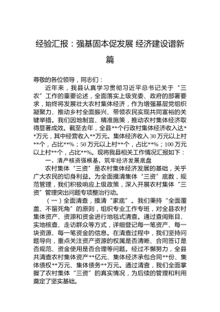 经验汇报：强基固本促发展经济建设谱新篇