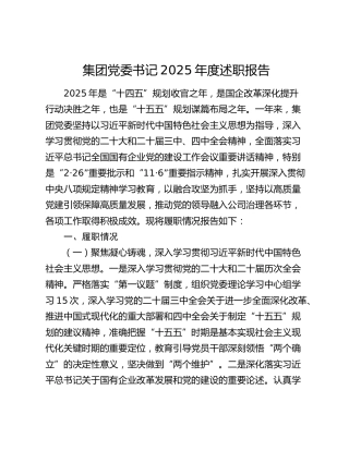 集团党委书记2025年度述职报告