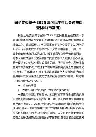 国企党委班子2025年度民主生活会对照检查材料(带案例)