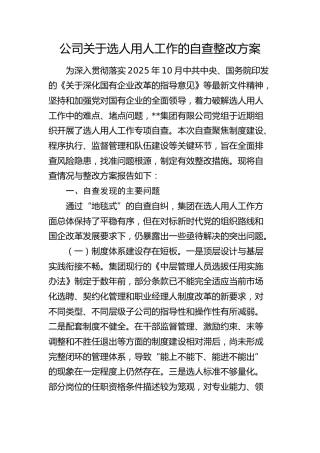 公司选人用人工作的自查情况及整改方案