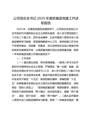 公司党总支书记2025年度抓基层党建工作述职报告