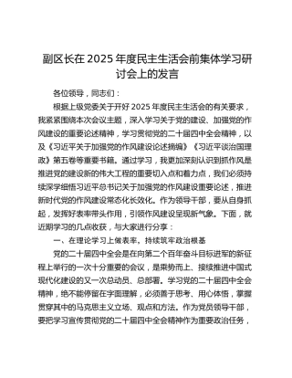 副区长在2025年度民主生活会前集体学习研讨会上的发言