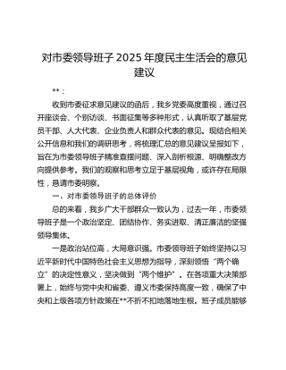 对市委领导班子2025年度民主生活会的意见建议