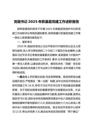 党组书记2025年抓基层党建工作述职报告