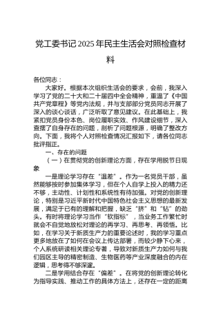 党工委书记2025年民主生活会对照检查材料