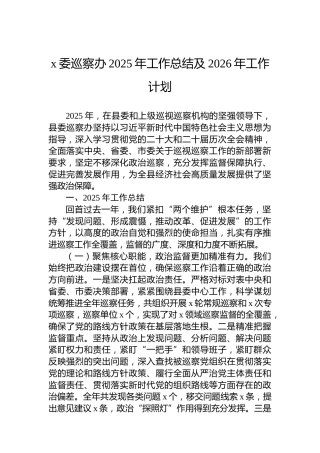 x委巡察办2025年工作总结及2026年工作计划