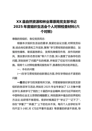 XX县自然资源和林业草原局党支部书记2025年度组织生活会个人对照检查材料（六个对照）