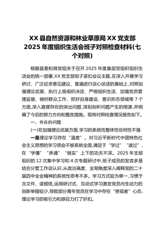 XX县自然资源和林业草原局XX党支部2025年度组织生活会班子对照检查材料（七个对照）