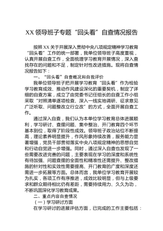 XX领导班子专题“回头看”自查情况报告