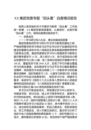 XX集团党委专题“回头看”自查情况报告