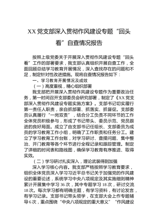 XX党支部深入贯彻作风建设专题“回头看”自查情况报告