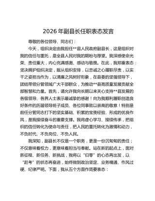 2026年副县长任职表态发言