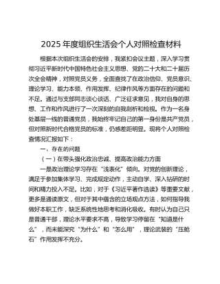 2025年度组织生活会个人对照检查材料（五个带头）