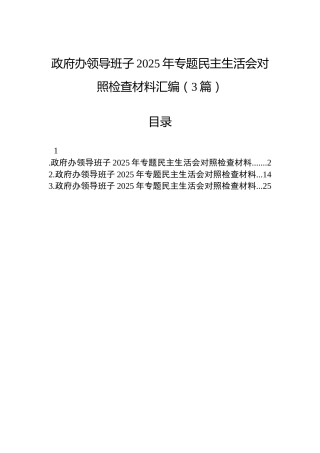 政府办领导班子2025年专题民主生活会对照检查材料汇编（3篇）