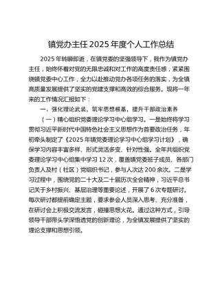 镇党办主任2025年度个人工作总结