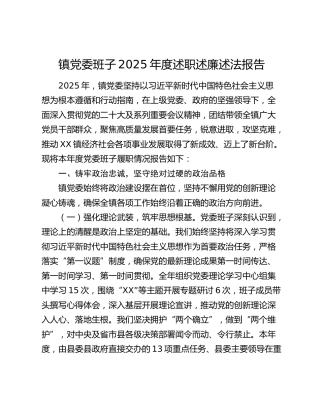 乡镇党委班子2025年度述职述廉述法报告6000字
