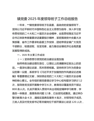 乡镇党委2025年度领导班子工作总结报告4800字