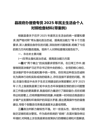 县政府办督查专员2025年民主生活会个人对照检查材料（带案例）