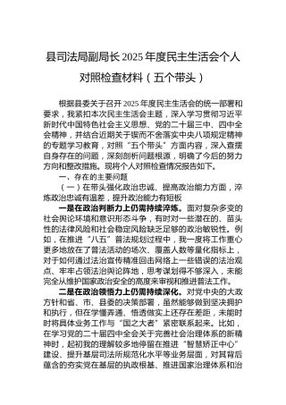 县司法局副局长2025年度民主生活会个人对照检查材料（五个带头）