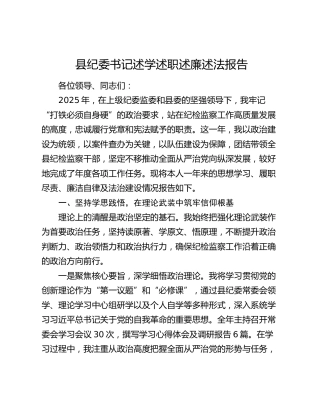 2025年度县纪委书记述学述职述廉述法报告