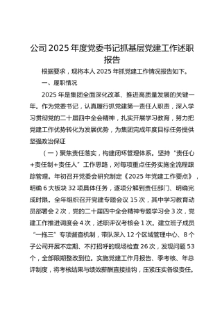 2025年度公司党委书记抓基层党建工作述职报告
