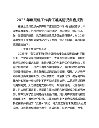 2025年度党建工作责任落实情况自查报告