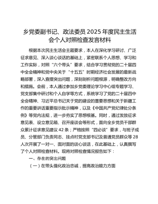 乡党委副书记、政法委员2025年度民主生活会个人对照检查发言材料（六个带头+典型案例剖析）