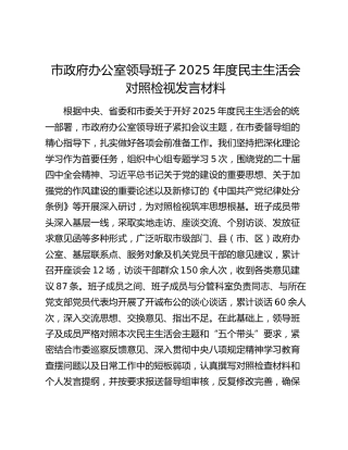 市政府办公室领导班子2025年度民主生活会对照检视发言材料（贯彻落实中央八项规定精神情况总结+五个带头+典型案例剖析）