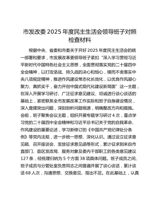 市发改委2025年度民主生活会领导班子对照检查材料（贯彻落实中央八项规定精神情况总结+五个带头+典型案例剖）