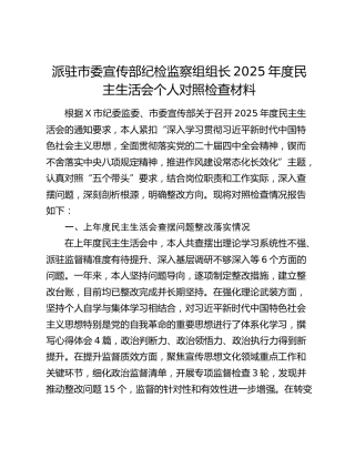 派驻市委宣传部纪检监察组组长2025年度民主生活会个人对照检查材料（上年度查摆问题整改落实情况+五个带头+典型案例剖）