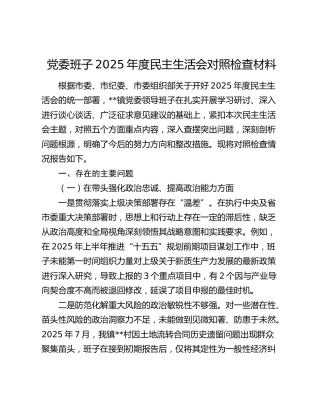 党委班子2025年度民主生活会对照检查材料（五个带头+典型案例剖析）
