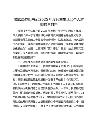 城管局党组书记2025年度民主生活会个人对照检查材料（上年度查摆问题整改落实情况+五个带头）