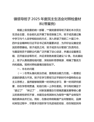 镇领导班子2025年度民主生活会对照检查材料(带案例)