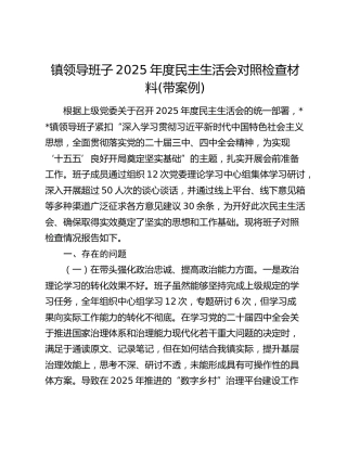 镇领导班子2025年度民主生活会对照检查材料(带案例) (2)