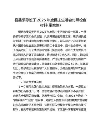 县委领导班子2025年度民主生活会对照检查材料(带案例)