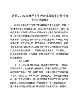 区委2025年度民主生活会领导班子对照检查材料(带案例)
