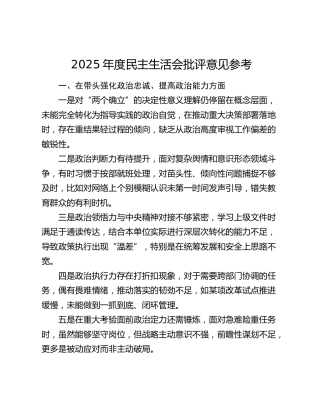 2025年度民主生活会批评意见参考