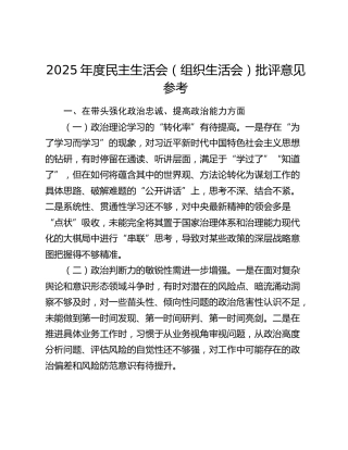 2025年度民主生活会（组织生活会）批评意见参考