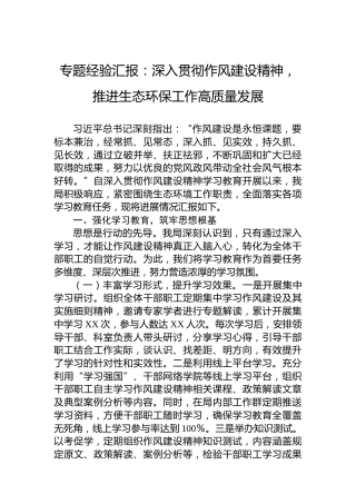 专题经验汇报：深入贯彻作风建设精神，推进生态环保工作高质量发展