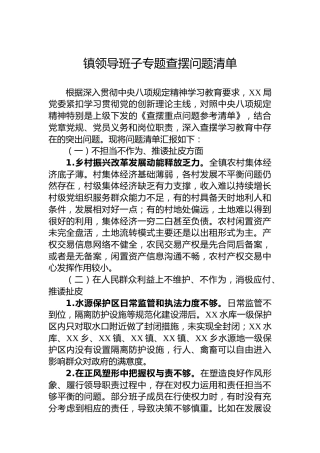 镇领导班子专题查摆问题清单
